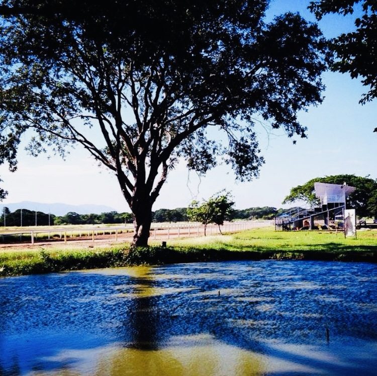 Espejo de agua junto a la pista