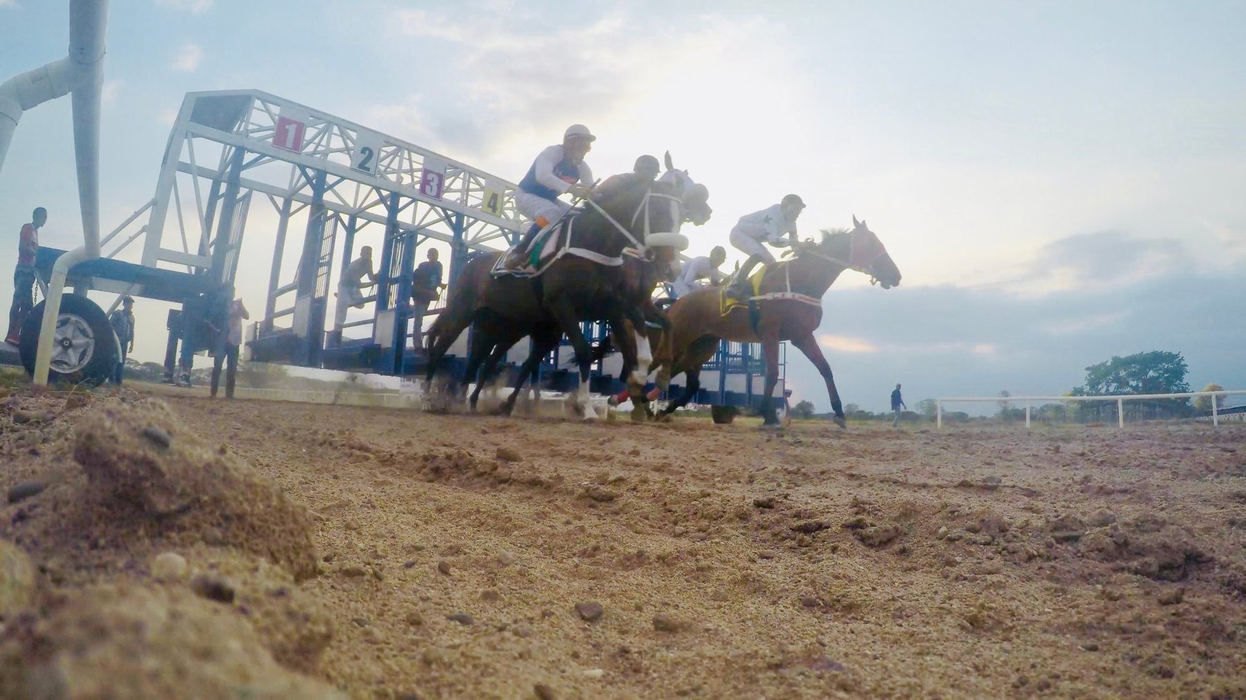 Salida de una carrera desde la partidora
