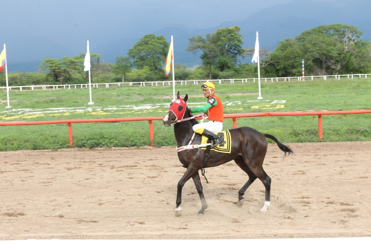 Jinete y caballo con las banderas