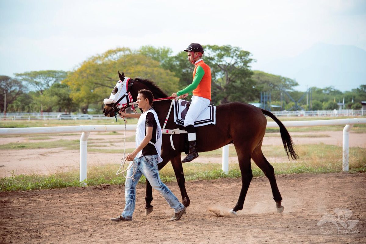 Caballo y jinete en el hipódromo